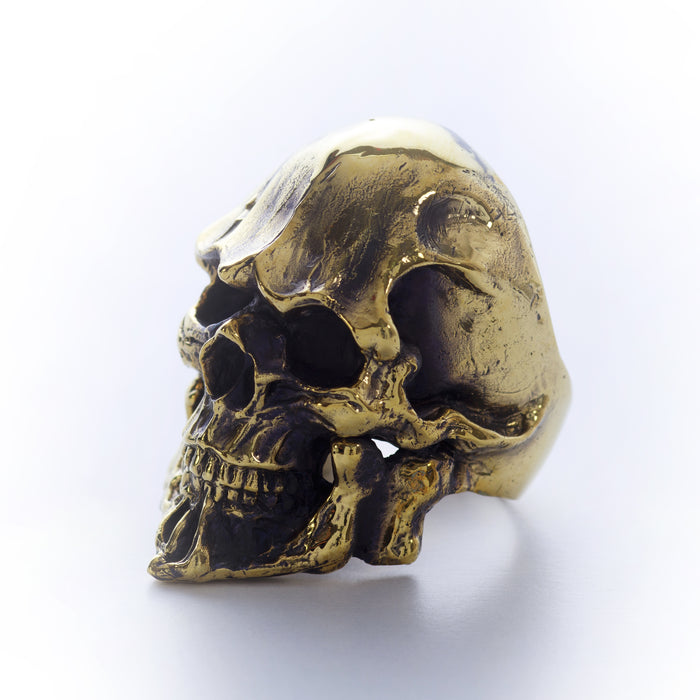 ROS「Beard Skull 2017」BR